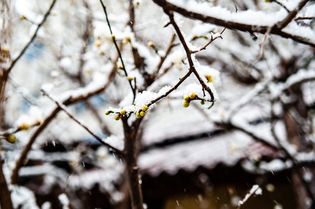 场比赛里采