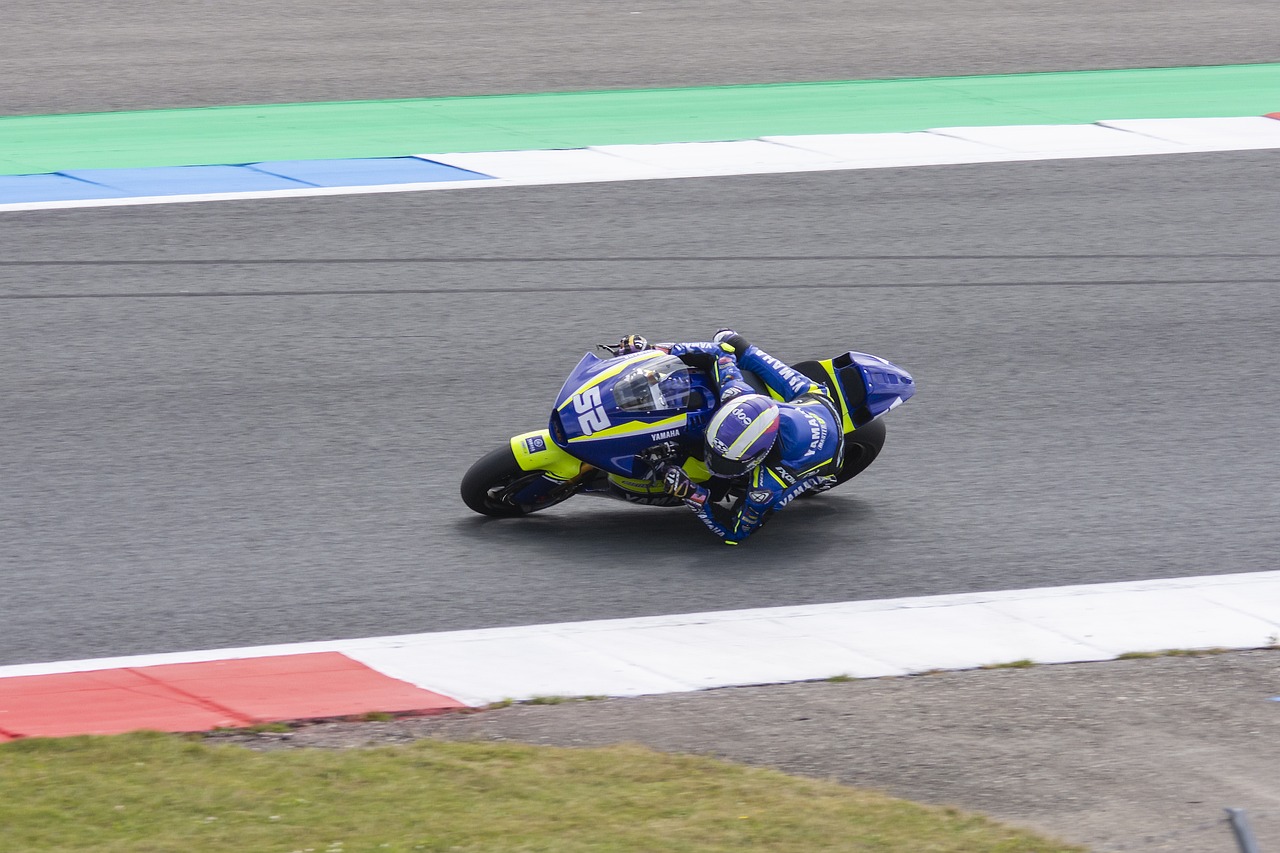 和感激之情 和感激之情